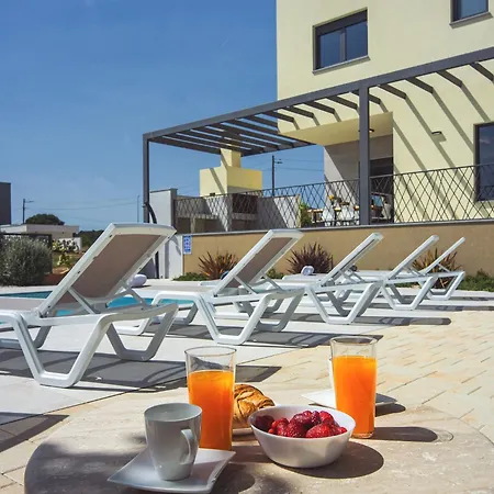 Villa In Croatia Near The Adriatic Coast Pula